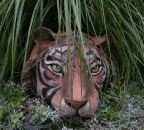 Tiger 2008.jpg