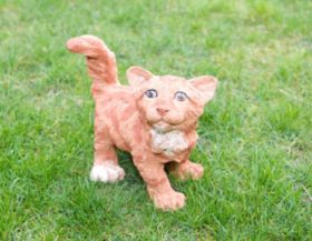 braunes Kätzchen2 2008.jpg