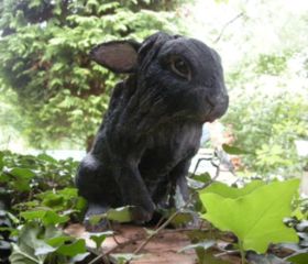 Löwenkopfkaninchen 2008.jpg