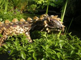 Drache braun2,2008.jpg